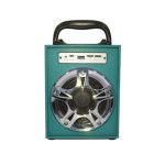 Speaker 1317 - Green